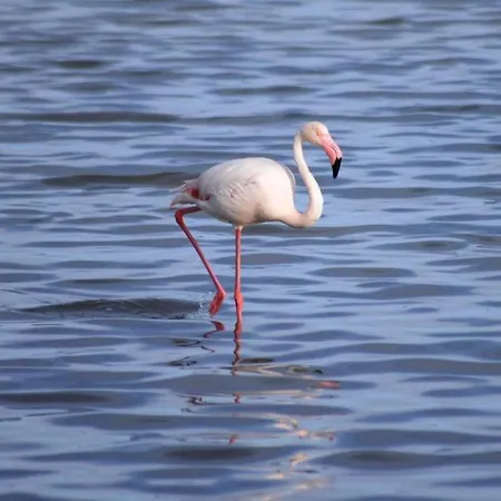 Sa Frummiga アパート